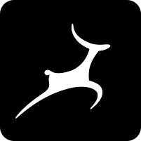 فروشگاه کفش ریما
